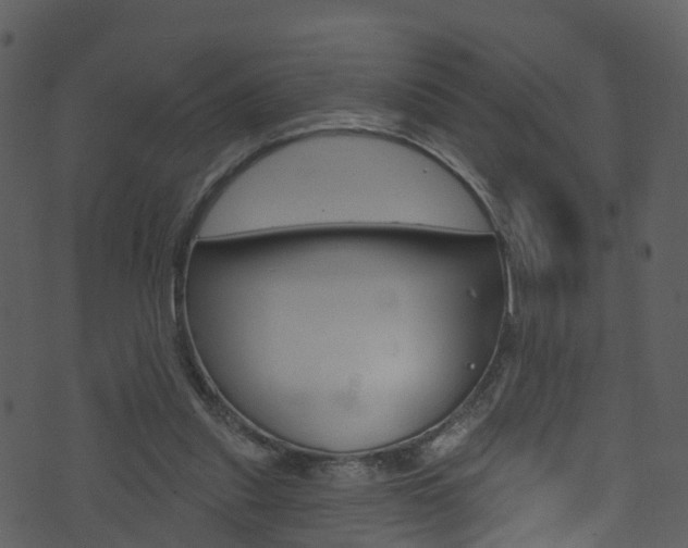 X0000074260253200608250907