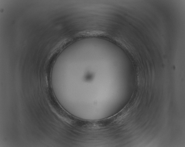 X0000074260254200608250907