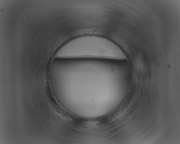 X0000074260255200608250907