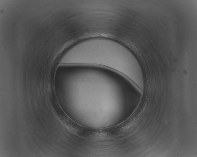 X0000074260256200608250907