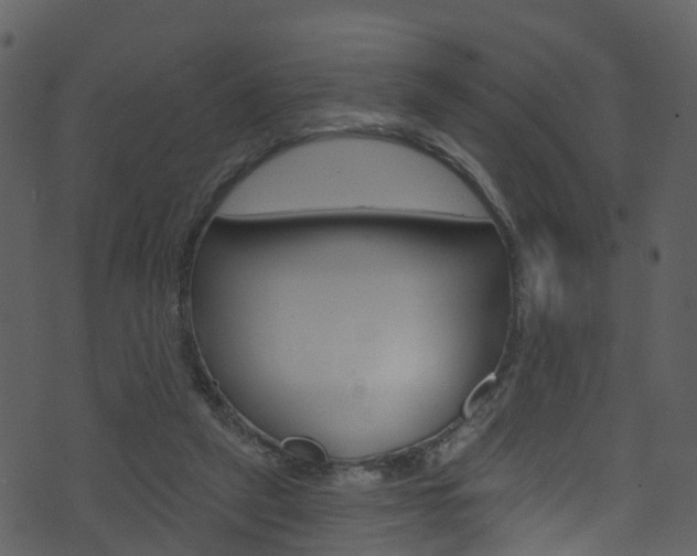 X0000074260257200608250907