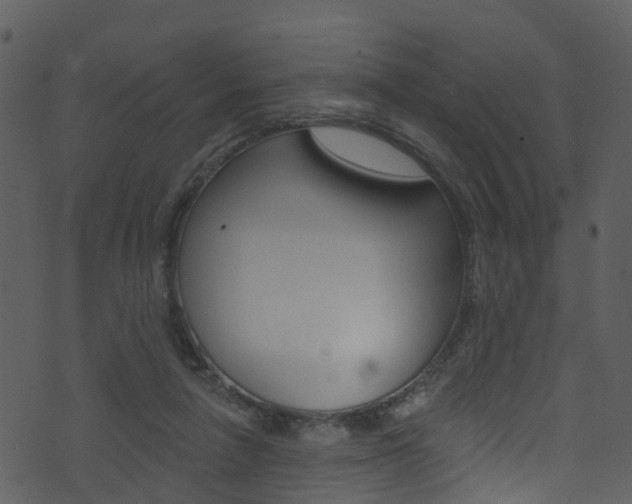 X0000074260258200608250907