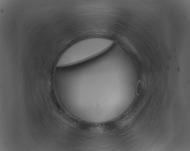 X0000074260259200608250907