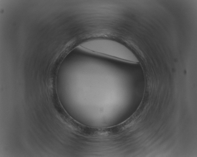 X0000074260260200608250907