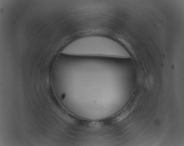 X0000074260261200608250907