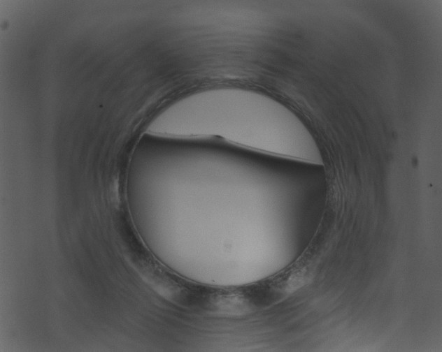 X0000074260262200608250907