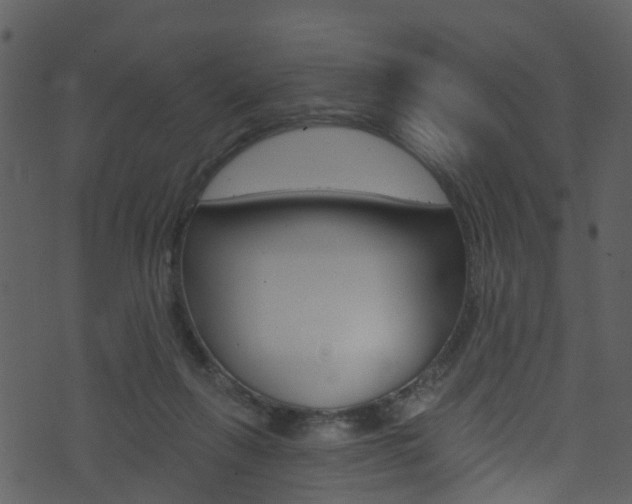 X0000074260263200608250907