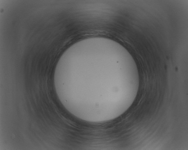 X0000074260264200608250907