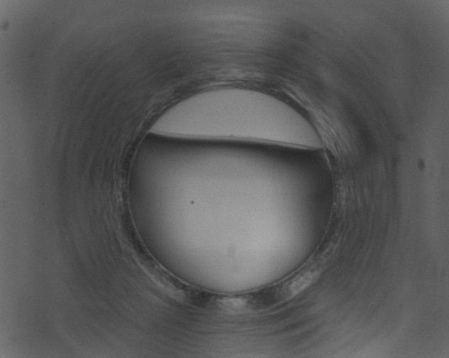 X0000074260265200608250907