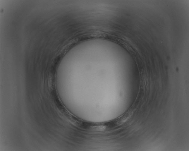 X0000074260266200608250907