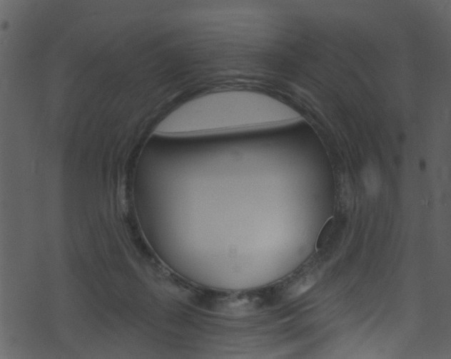 X0000074260267200608250907