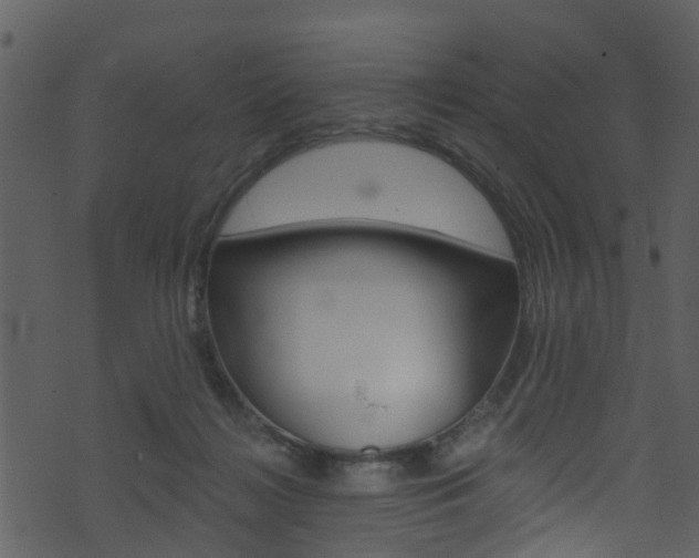 X0000074260268200608250907