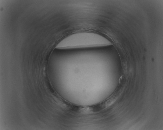 X0000074260269200608250907