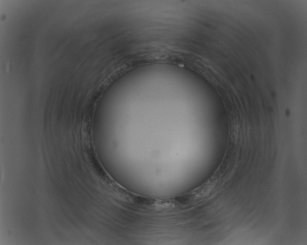 X0000074260270200608250907