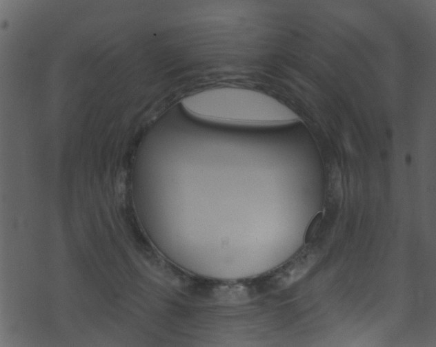 X0000074260271200608250907