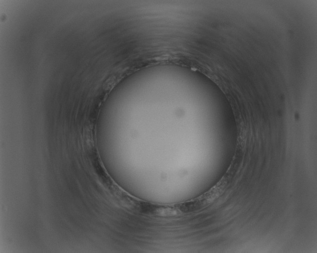 X0000074260272200608250907