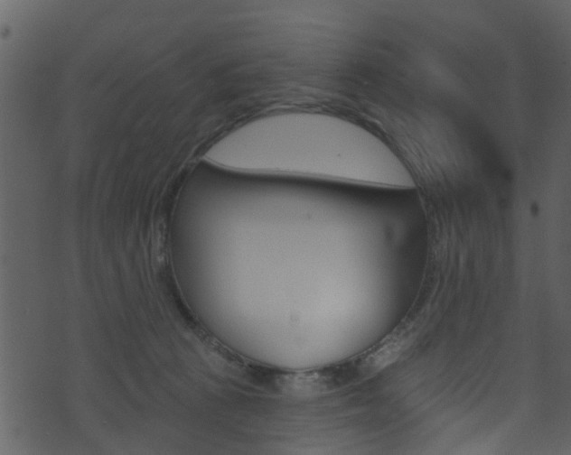 X0000074260273200608250907