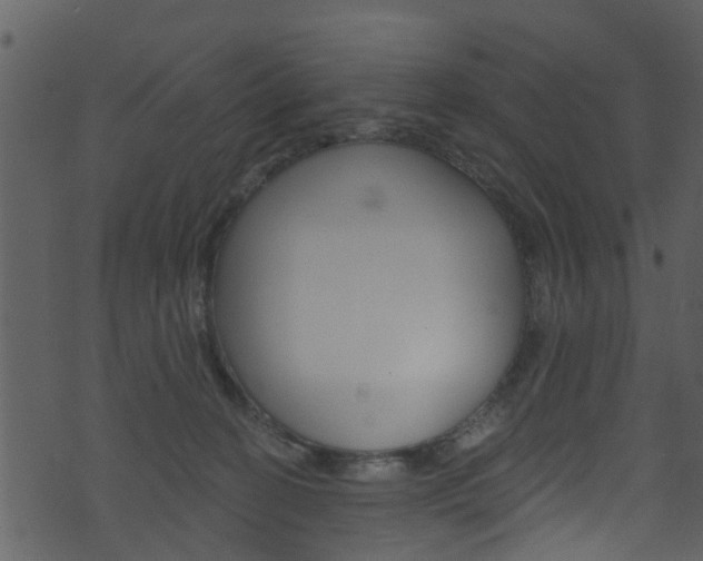 X0000074260274200608250907