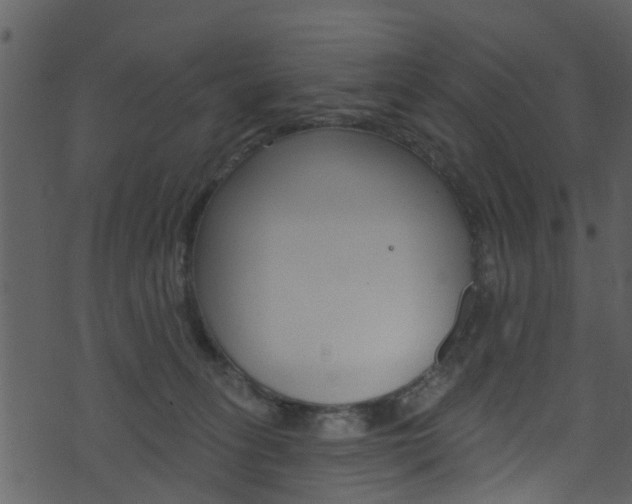 X0000074260275200608250907