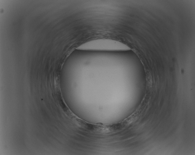 X0000074260276200608250907