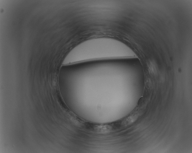 X0000074260277200608250908