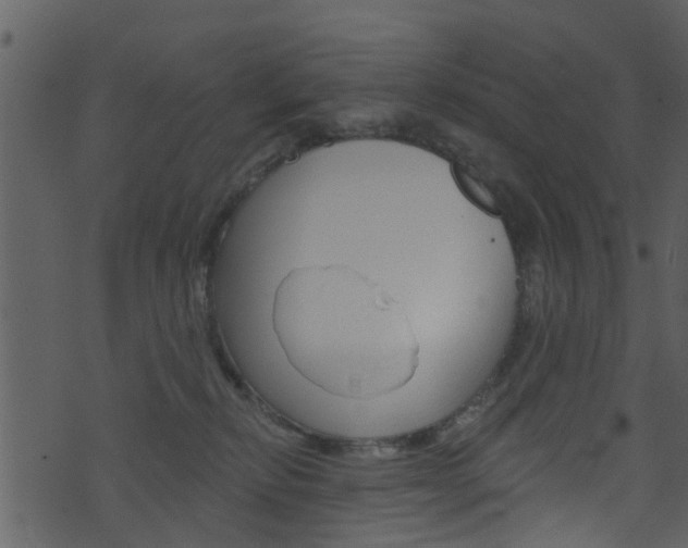 X0000074260278200608250908