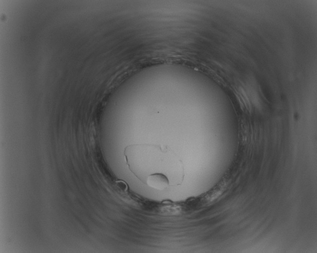 X0000074260279200608250908