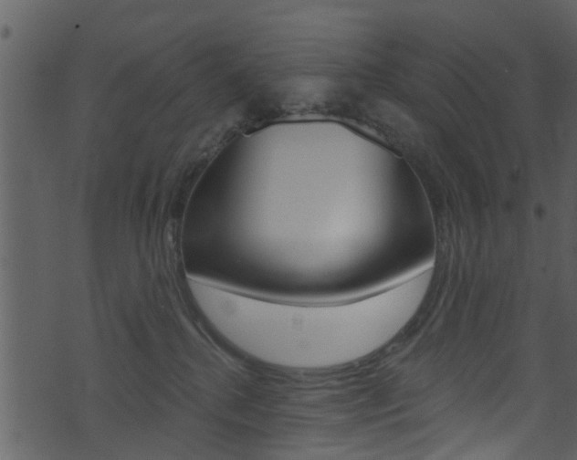 X0000074260280200608250908