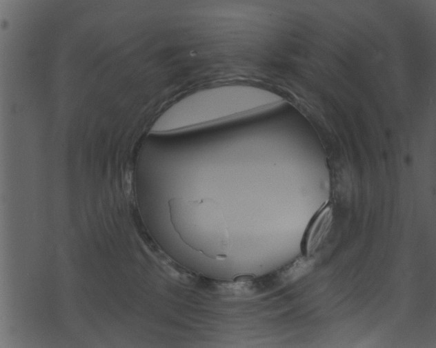 X0000074260281200608250908