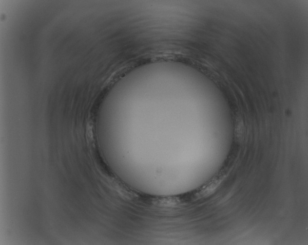 X0000074260282200608250908