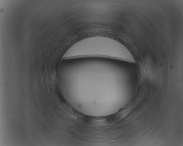 X0000074260283200608250908