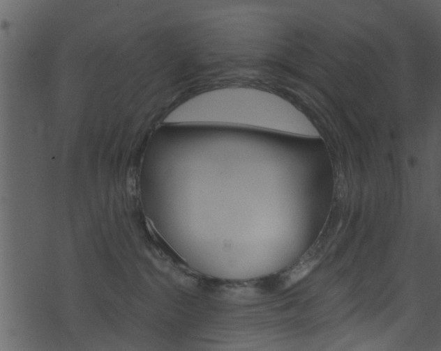 X0000074260284200608250908