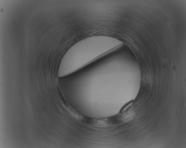 X0000074260285200608250908