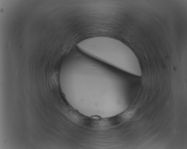 X0000074260286200608250908