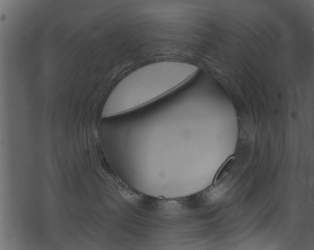 X0000074260287200608250908