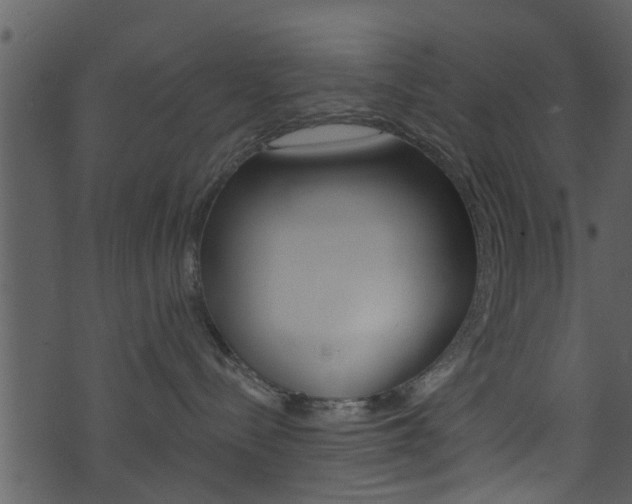 X0000074260288200608250908