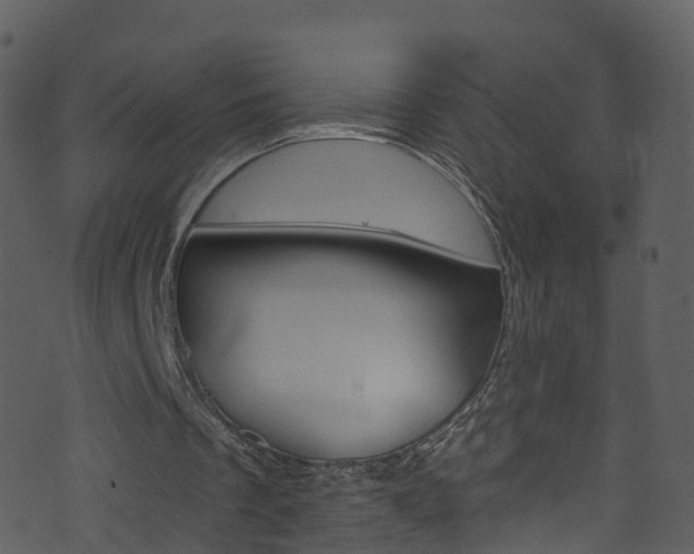 X0000074260289200608250907