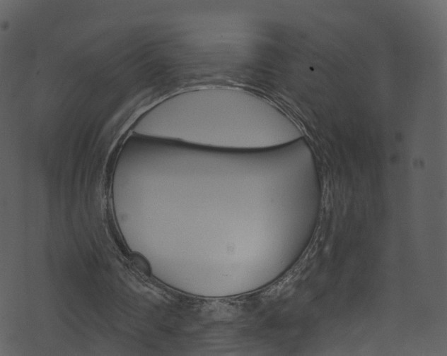 X0000074260290200608250907