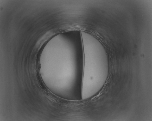 X0000074260291200608250907