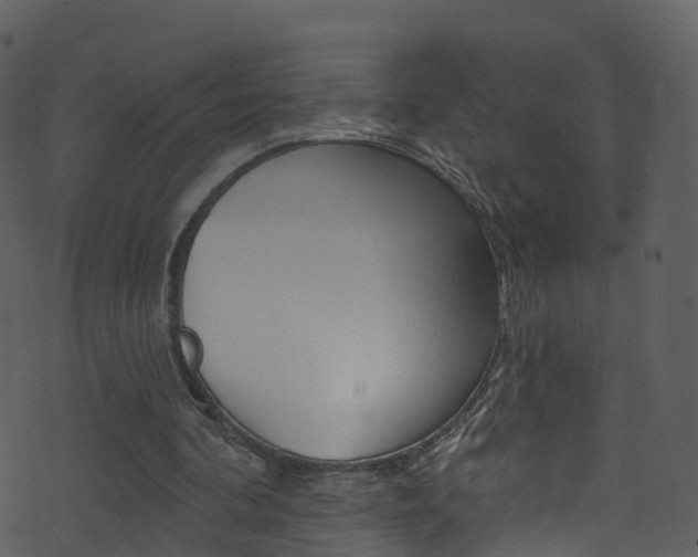 X0000074260292200608250907