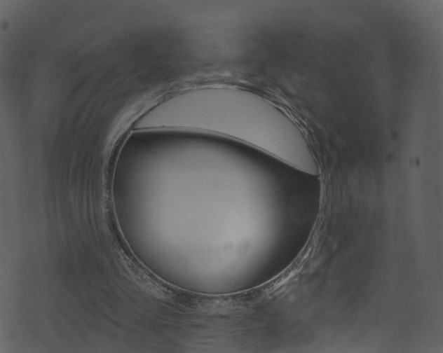 X0000074260293200608250907