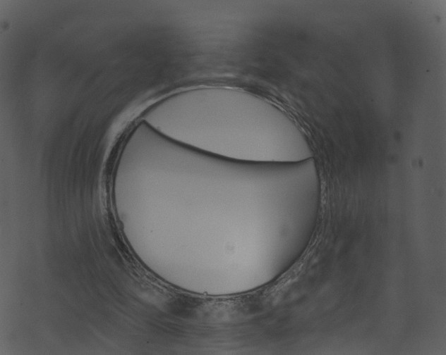 X0000074260294200608250907