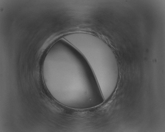 X0000074260295200608250907