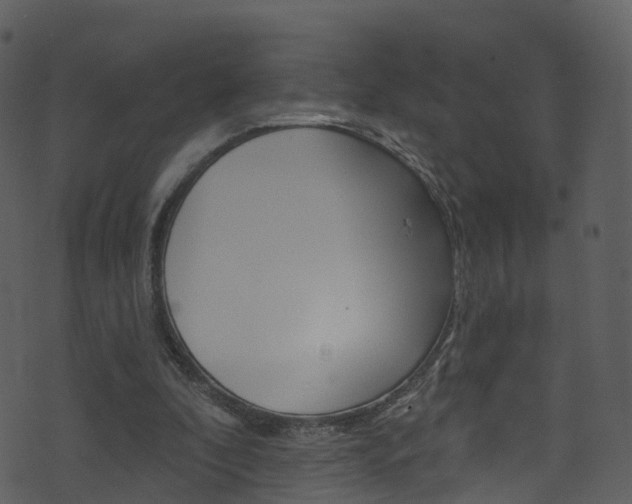 X0000074260296200608250907