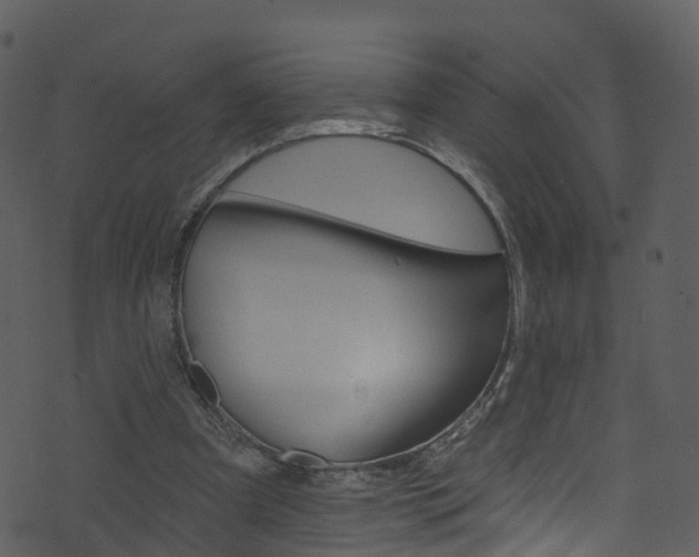 X0000074260297200608250907