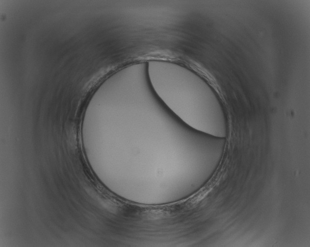 X0000074260298200608250907