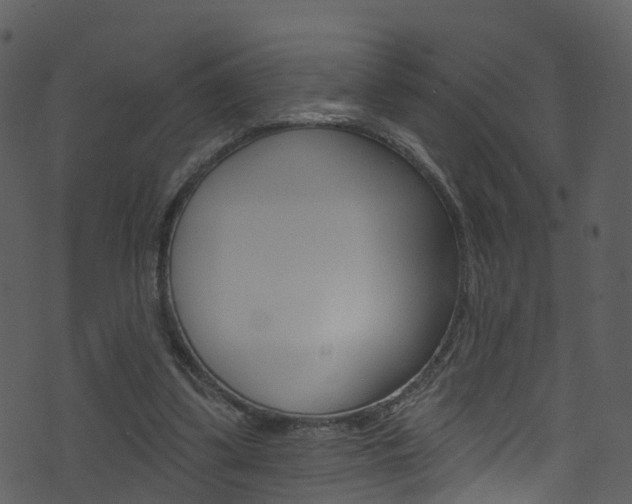 X0000074260299200608250907