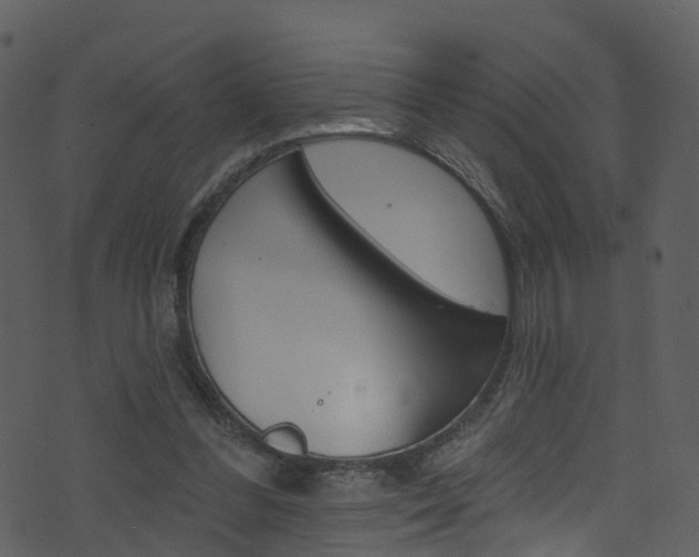 X0000074260300200608250907