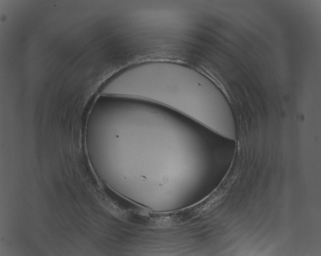 X0000074260301200608250907