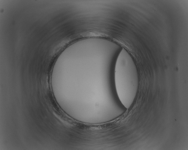 X0000074260302200608250907